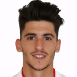 卡洛斯·内瓦